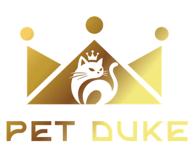 Songtai (Shandong) Commercio internazionale Co., Ltd.